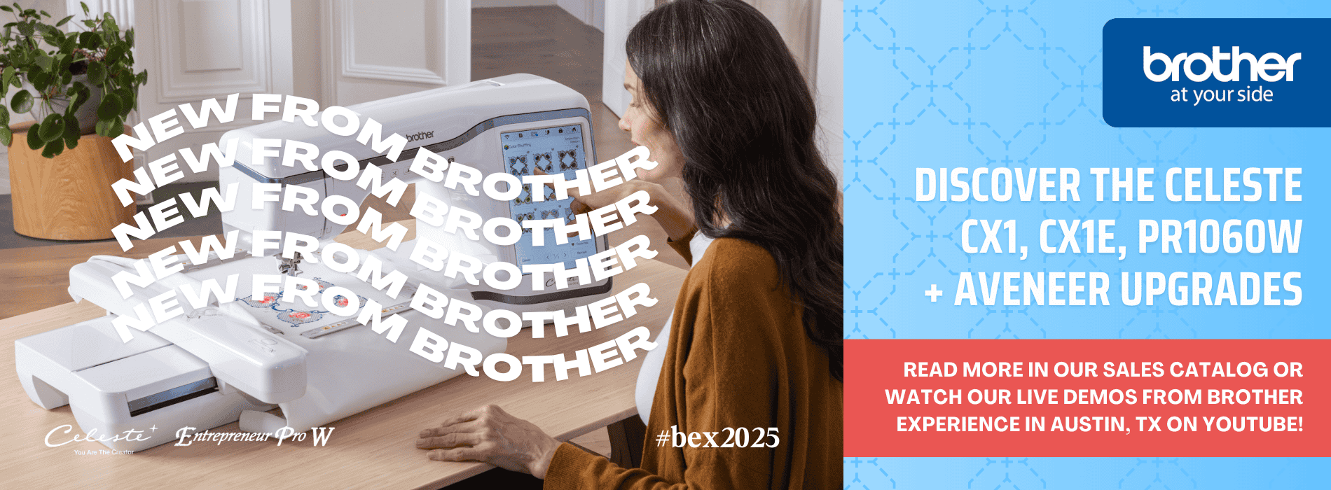 SVA/QQ Brother Experience