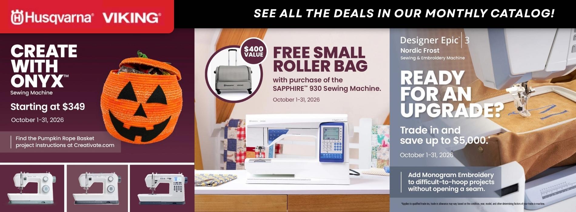 Bernina Sale — Take Down November 2nd